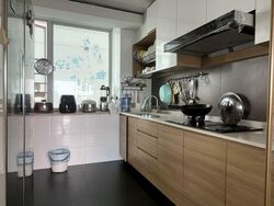 Blk 275A Natura Loft (Bishan), HDB 5 Rooms #552009611